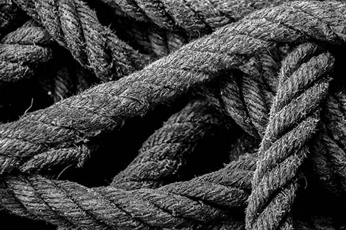 black rope for support North-Richland-Tree-Service-Experts-rope